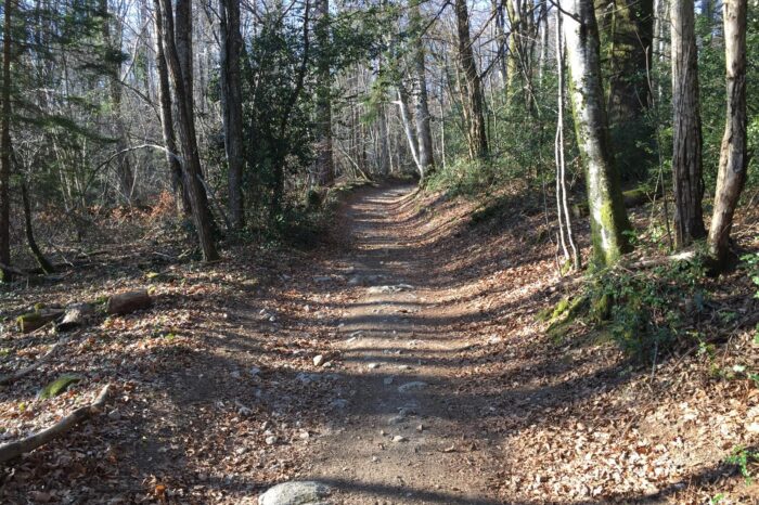 Chemin de randonnée caillouteuse