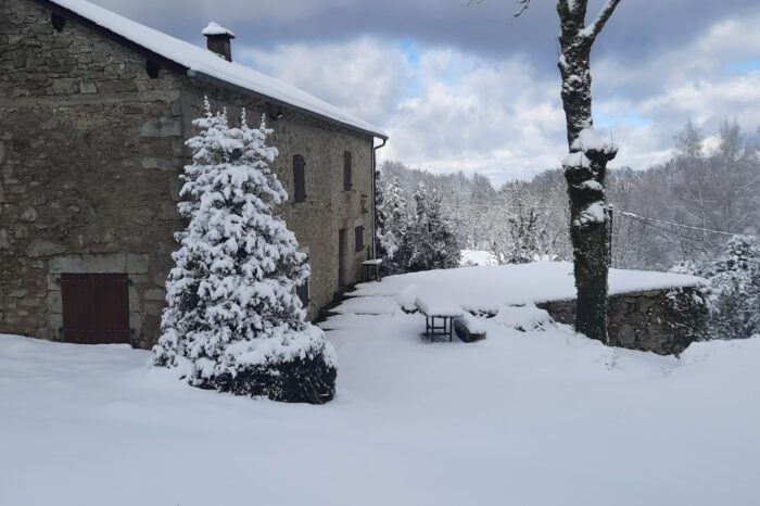 Gîte de Masse et sapins enneigés
