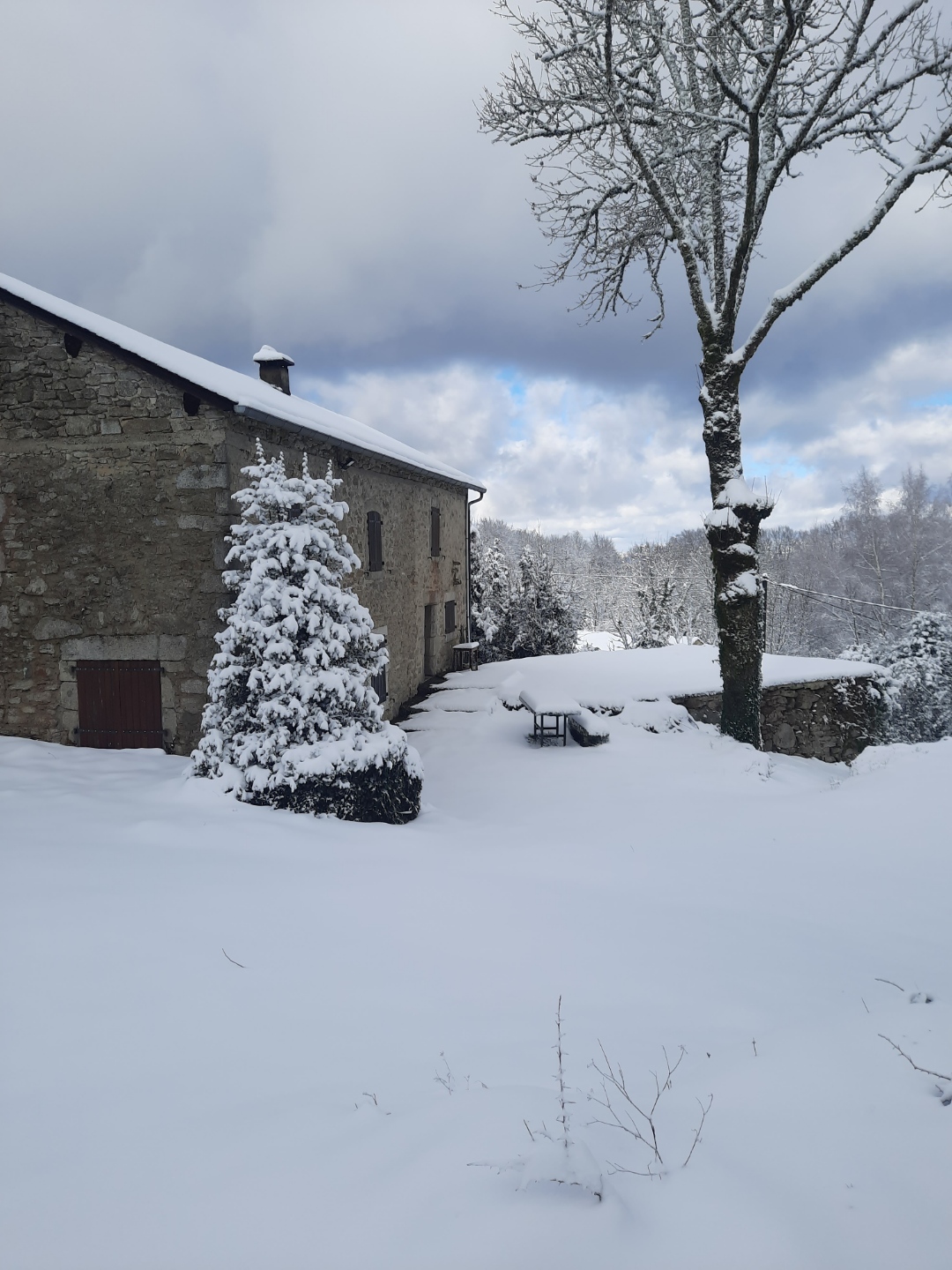 Gîte de Masse et sapins enneigés