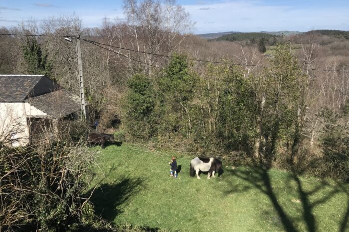 Vue plongeante vers le pré avec deux poney