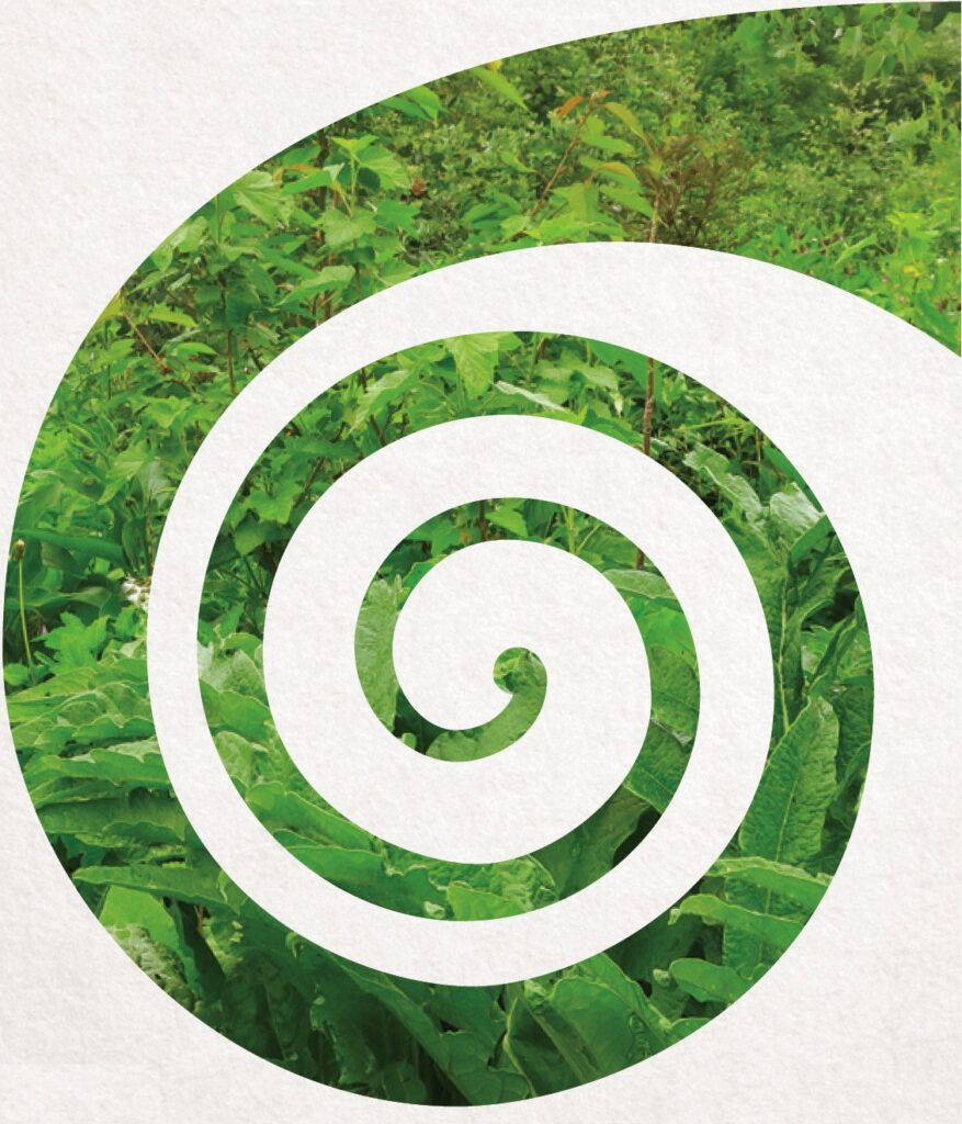 Spirale design composée de feuille et plantes vertes