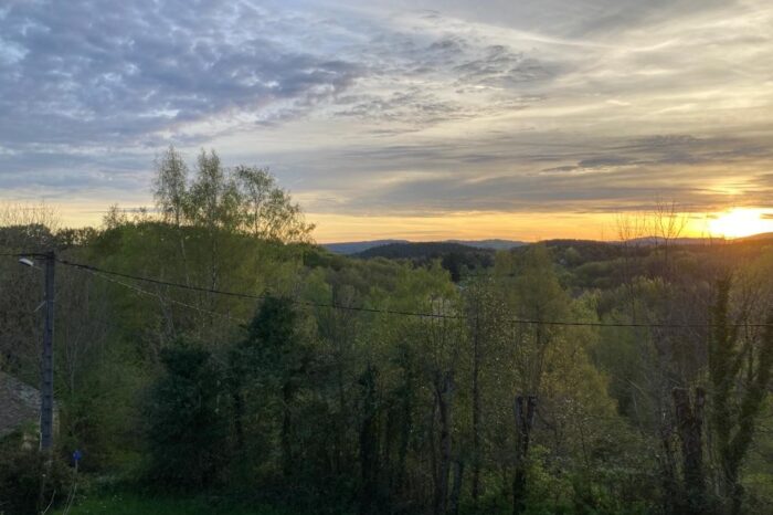 Vue extérieure de Massi vers la forêt et le levé de soleil