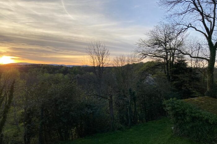 Vue extérieure de Massi vers la forêt et le levé de soleil