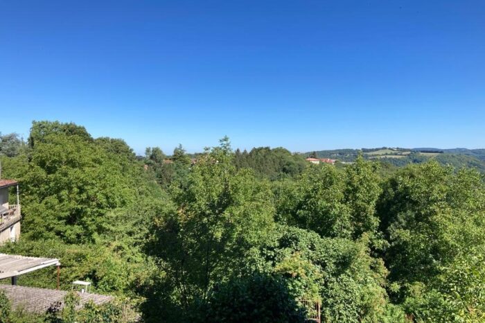 Vue extérieure de Massi vers la forêt ensoleillée